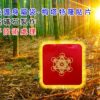 護身福袋-梅塔特隆立方體