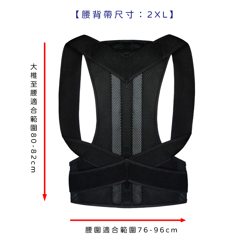 腰背帶