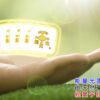 護肩寶