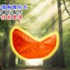 豐胸寶