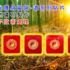 護身福袋-道系列