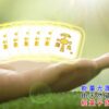 護頭寶