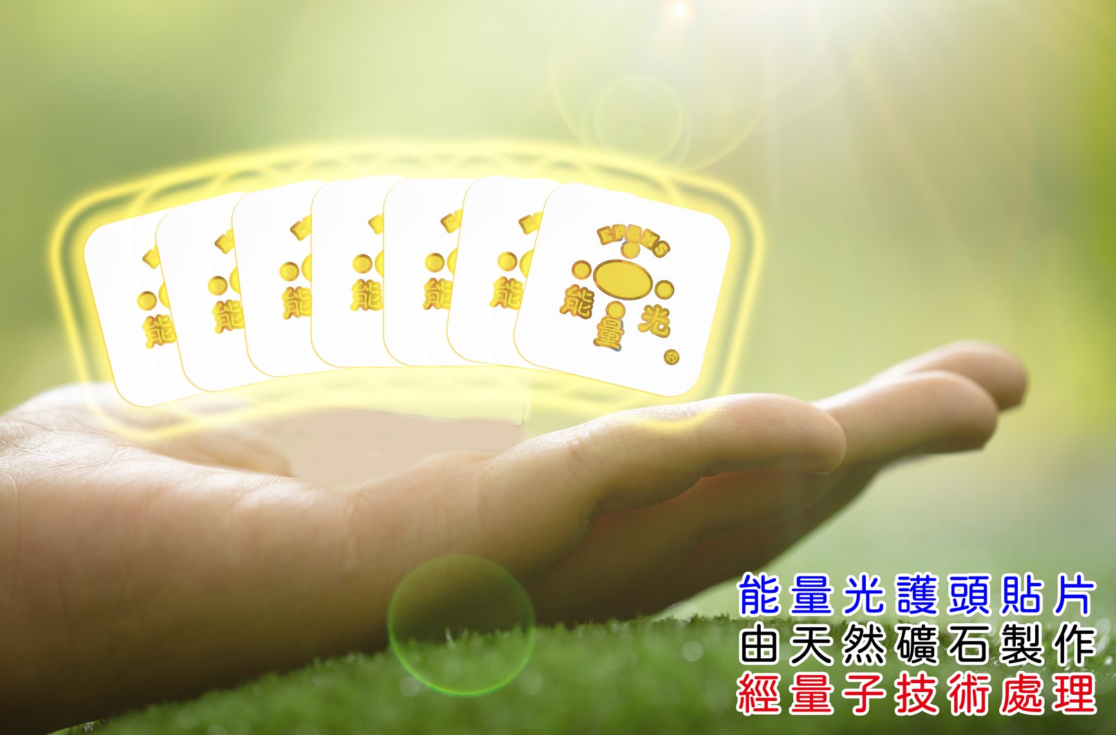 護頭寶