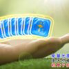 護頭寶