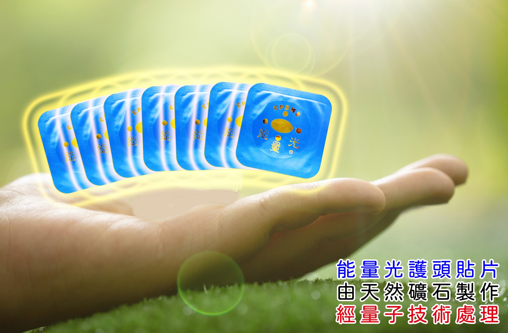 護頭寶