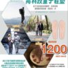 能量光高科技量子鞋墊